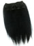 Clip on Human Hair in Kinky Straight 12" - Hairesthetic