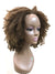 Half Wig 100% Human Hair in Tight Kinky Curly 14" - Hairesthetic